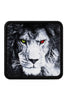 Aslan Logolu