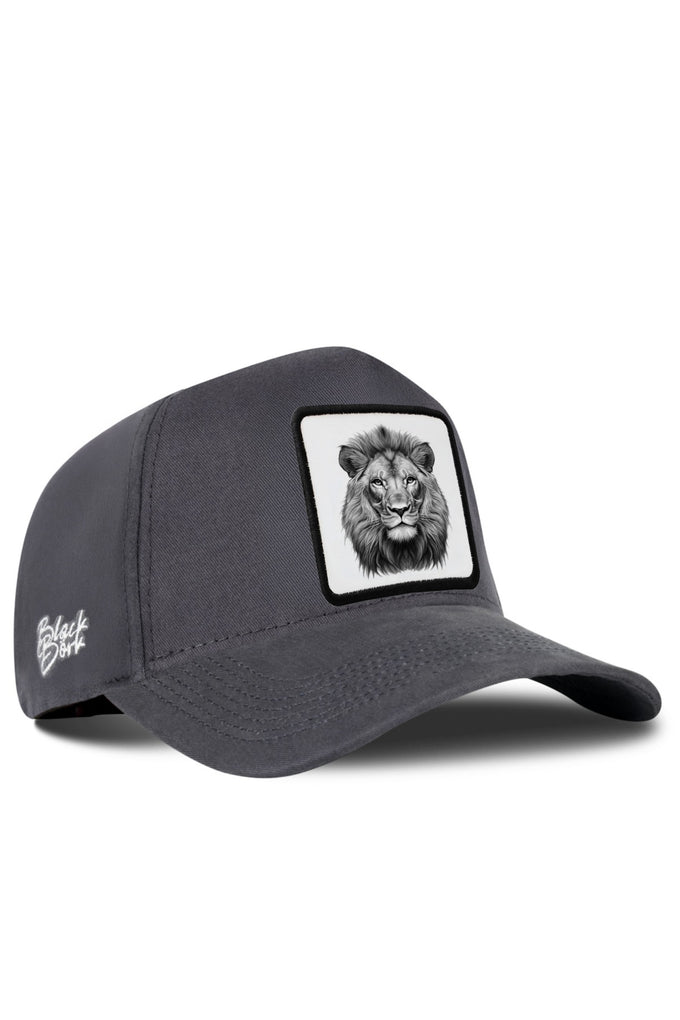 Lion Logo Anthracite Baseball Cap