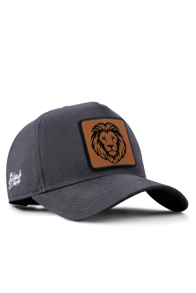 aslan-logolu-antrasit-beyzbol-sapka-3774 - BlackBörk TR