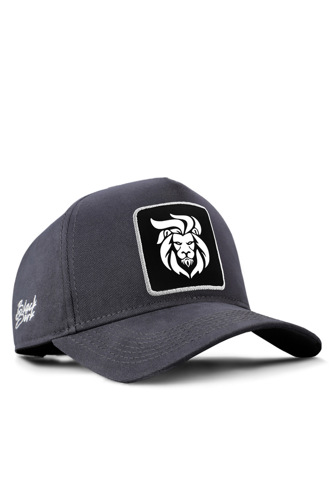 aslan-logolu-antrasit-beyzbol-sapka-5747 - BlackBörk TR