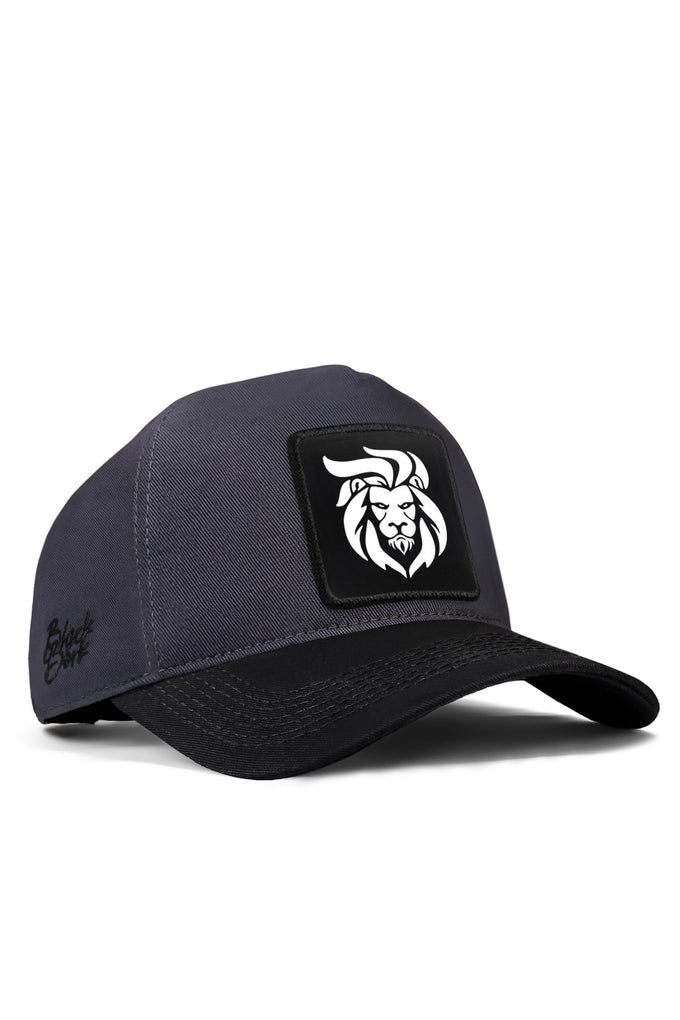 aslan-logolu-siyah-antrasit-beyzbol-sapka-5765 - BlackBörk TR