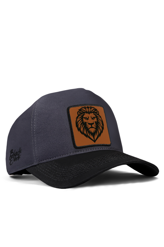 aslan-logolu-siyah-antrasit-beyzbol-sapka-5766 - BlackBörk TR