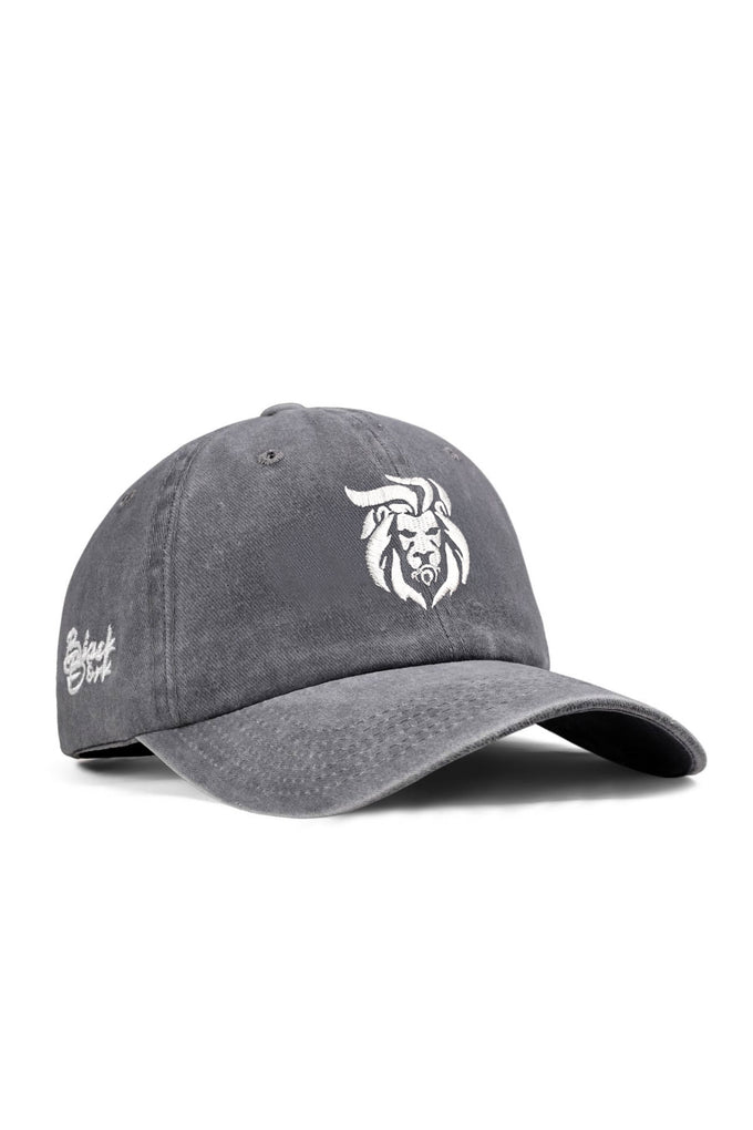 aslan-nakisli-vintage-beyzbol-gri-sapka-4685 - BlackBörk TR