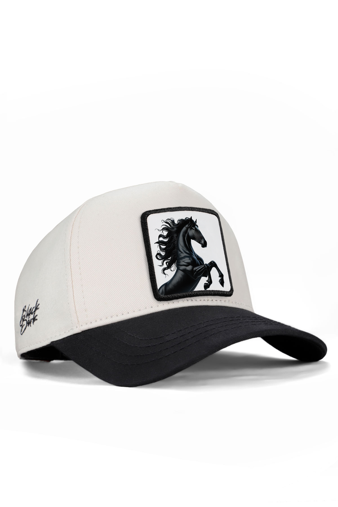 at-logolu-siyah-bej-beyzbol-premium-sapka-5713 - BlackBörk TR