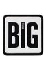 Big Think Logolu