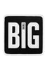 Big Think Logolu