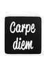 Carpe Diem Logolu