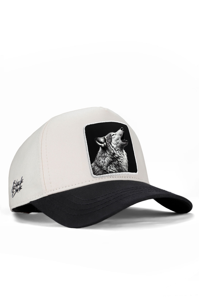 kurt-logolu-siyah-bej-beyzbol-premium-sapka-5712 - BlackBörk TR