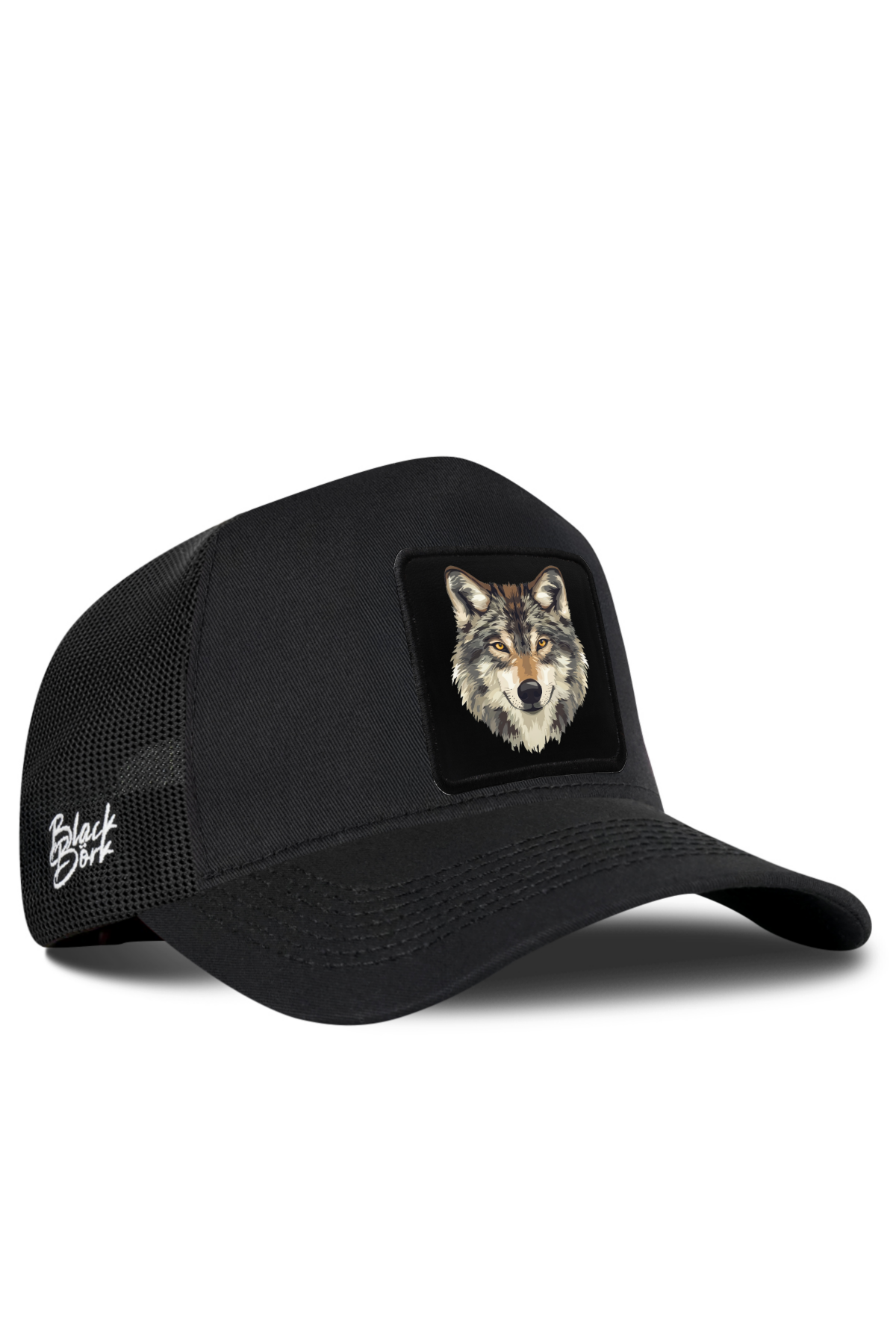 Cap Models and Prices