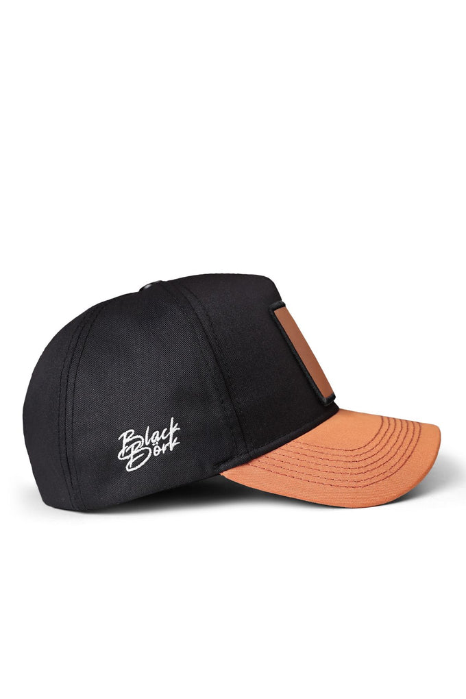 Mountains Logo Tile Brim-Black Baseball Cap