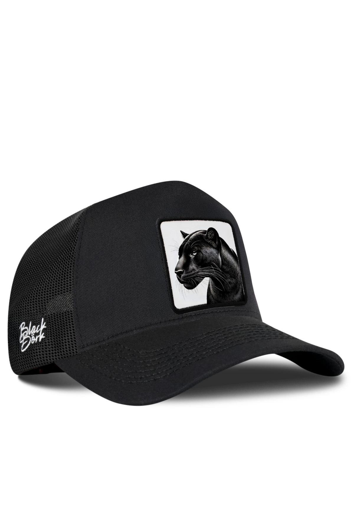 Cap Models and Prices