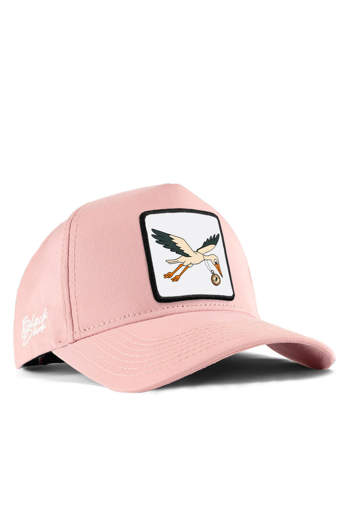 pusula-leylek-logolu-somon-beyzbol-sapka-4119 - BlackBörk TR