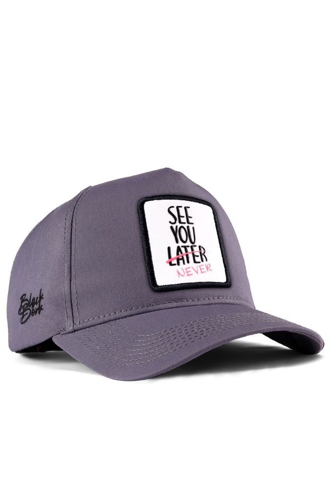 see-you-later-never-logolu-gri-beyzbol-sapka-712 - BlackBörk TR